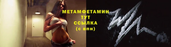 молекула духа Туринск