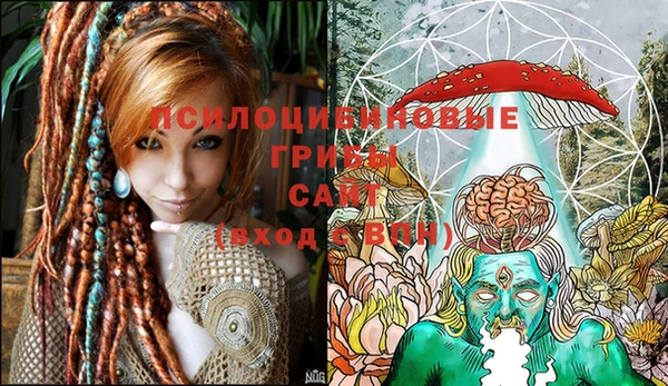 кокаин Ельня
