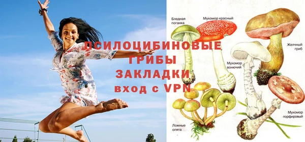 кокаин Ельня